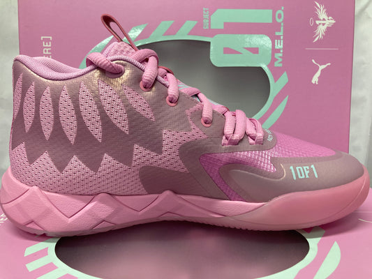 Puma  MB.01 'Iridiscente'