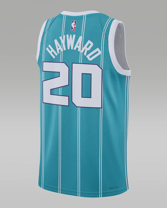 Jersey Ball  Charlotte Hornets Icon