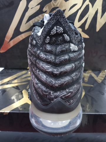 Nike Lebron 17 In The Arena La Casa del Basquet