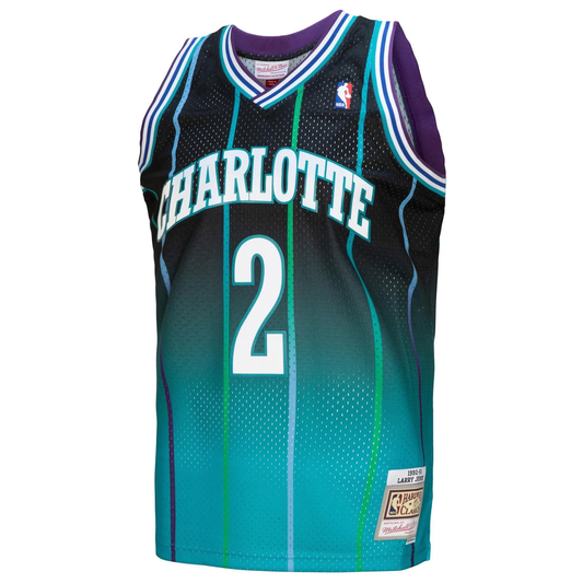 Jersey Mitchell & Ness Larry Johnson Charlotte hornets 1992-93
