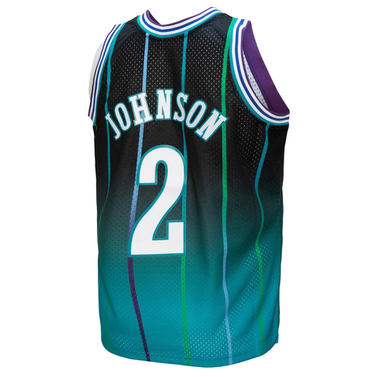 Jersey Mitchell & Ness Larry Johnson Charlotte hornets 1992-93